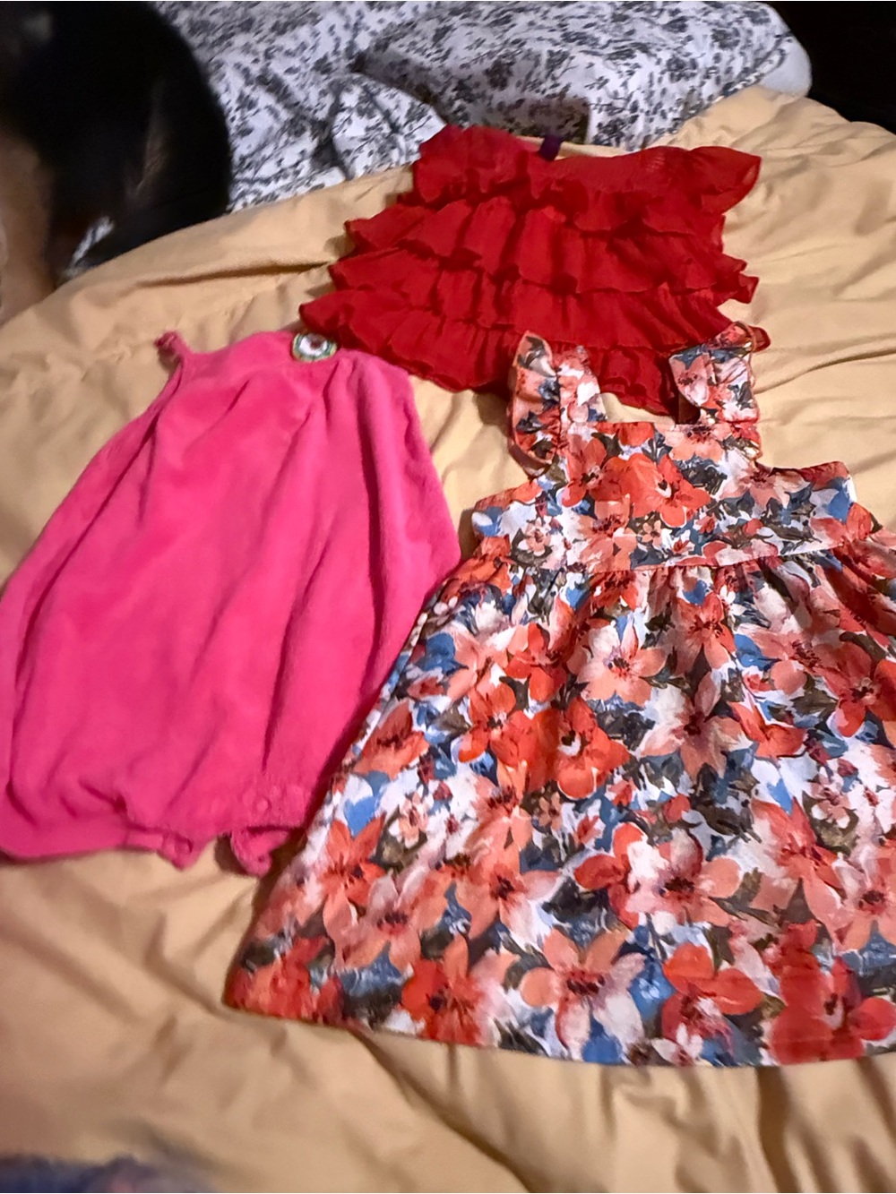 Lot of 2t girls Floral little Girls' floral Dress, pink romper & Red ruffle top